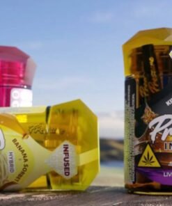 pressure dispos,pressure disposable,pressure carts,pressure extracts,keep applying pressure disposable,pressure weed pen,pressure magnetic disposable,pressure disposable carts,pressure pen cart,pressures disposable,pressure dab pen,pressure extracts disposable,pressure vape,pressure vapes,pressure thc,pressures cart,pressure vape pen,pressure cart,pressure dispo,pressure weed pen,pressure disposables,pressure wax pen,pressure wax pen,pressure thc vape,pressure co vapes,pressures carts,pressure co vapes specials,pressure extracts disposable,pressure carts magnetic,pressure carts magnetic,pressure thc vape,pressure co cartridges deals,pressure carts 2g,pressure live resin,pressure cart,pressure thca vape,nothing but pressure disposable,pressure magnetic disposable,pressure vapes 2g disposable,pressure co vapes deals,pressure thc,